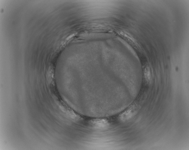 X0000069830322200606091452