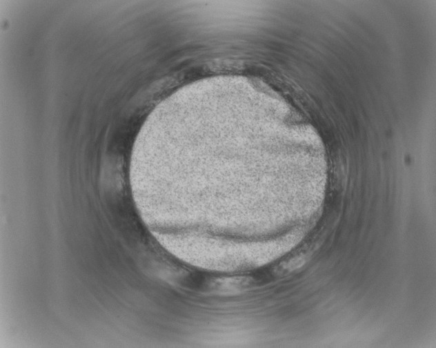 X0000069830323200606091452