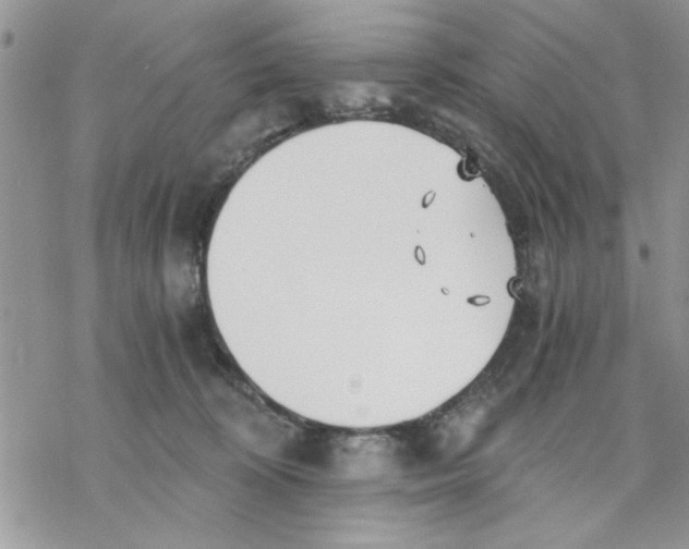 X0000069830324200606091452