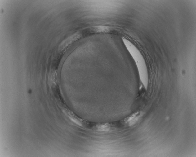 X0000069830325200606091452