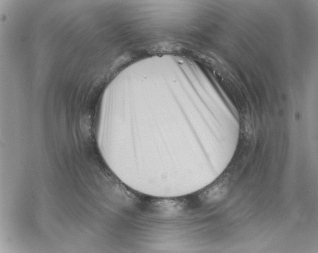 X0000069830326200606091452