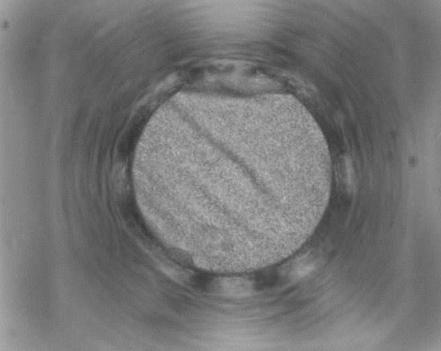 X0000069830327200606091452