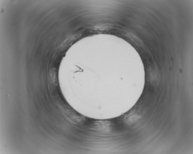 X0000069830328200606091452