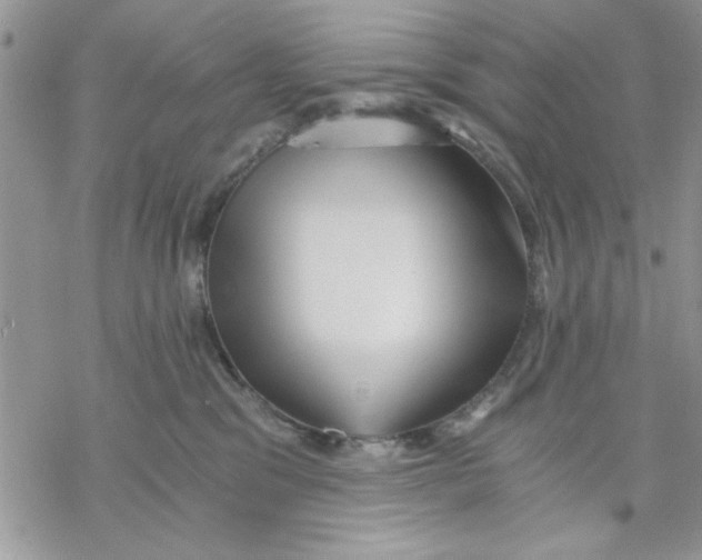 X0000069830329200606091452