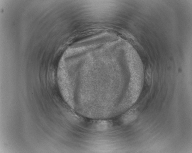 X0000069830330200606091452