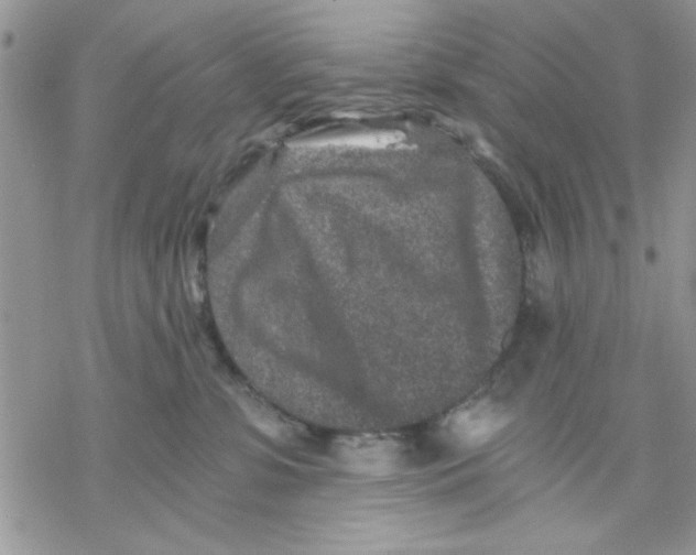 X0000069830331200606091452