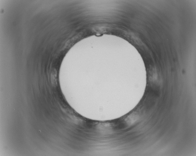 X0000069830332200606091452