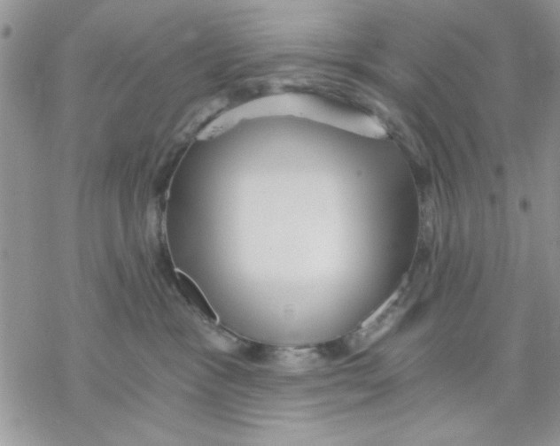 X0000069830333200606091452