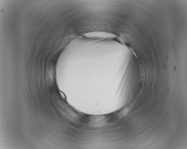 X0000069830334200606091452