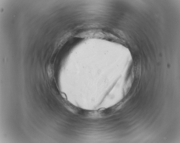 X0000069830335200606091452