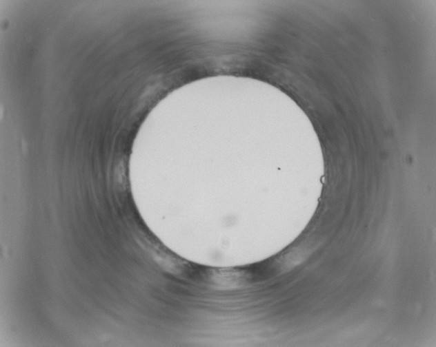 X0000069830336200606091452