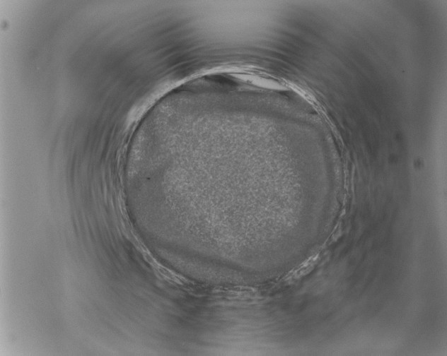 X0000069830337200606091451