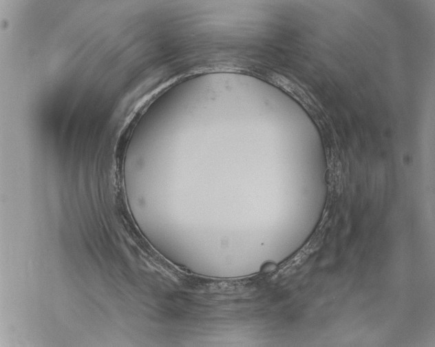 X0000069830338200606091451