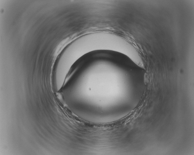 X0000069830340200606091451