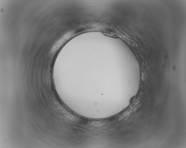 X0000069830341200606091451