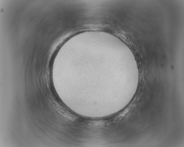 X0000069830342200606091451