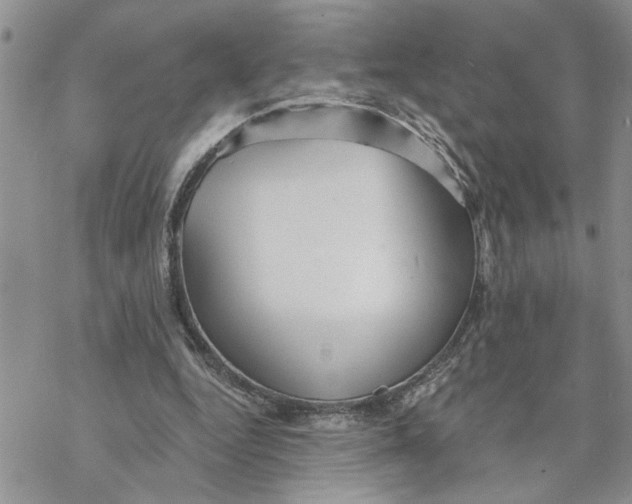 X0000069830344200606091451