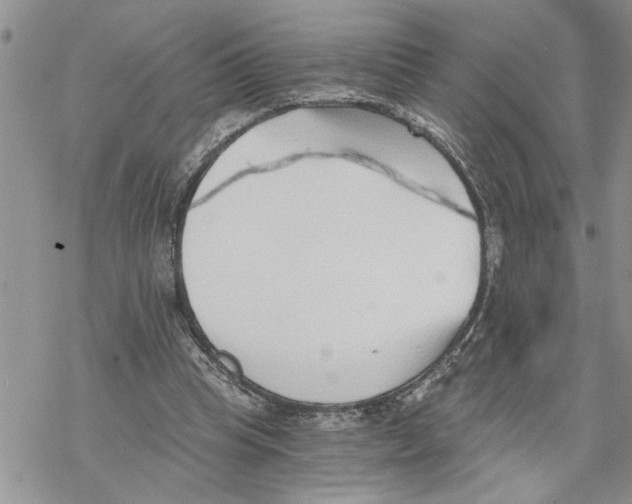 X0000069830345200606091451