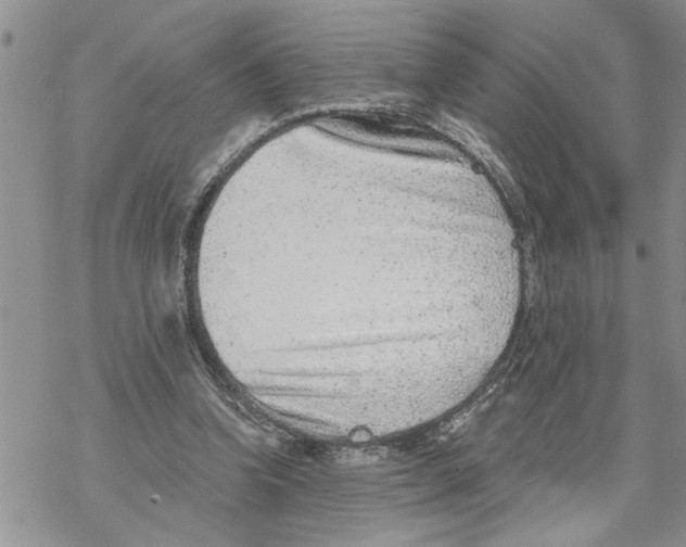 X0000069830346200606091451