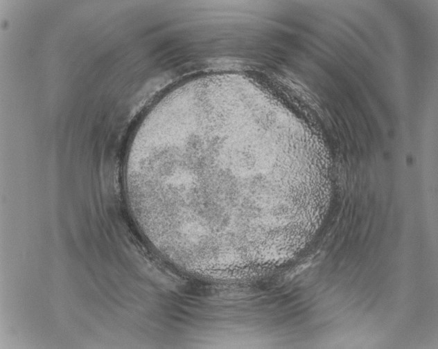 X0000069830347200606091451