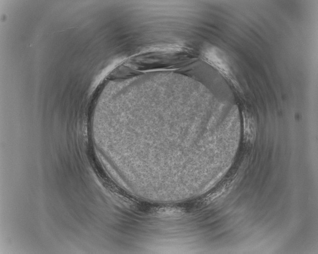 X0000069830348200606091451