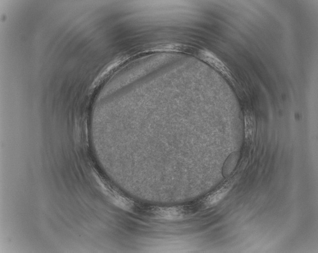 X0000069830349200606091451