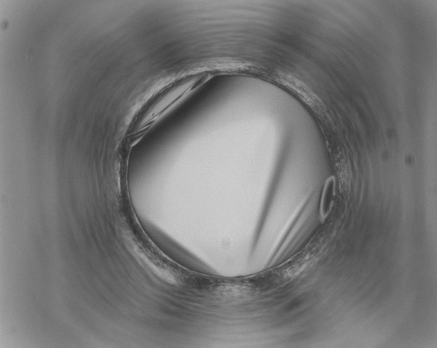 X0000069830350200606091451