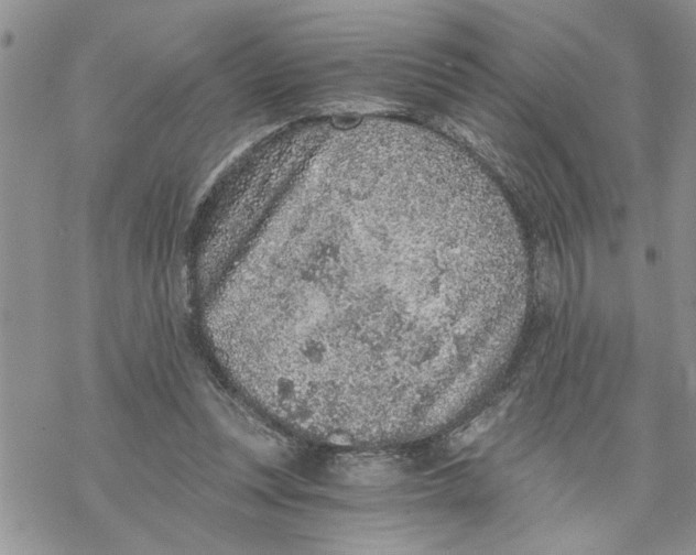 X0000069830351200606091451