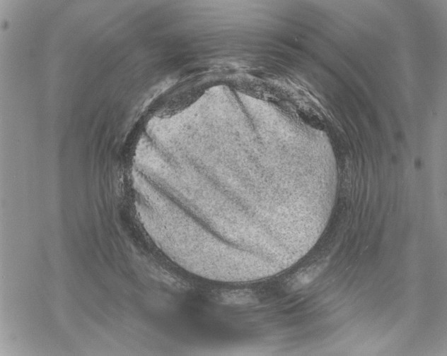 X0000069830355200606091451