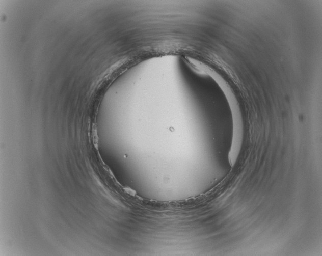 X0000069830356200606091451