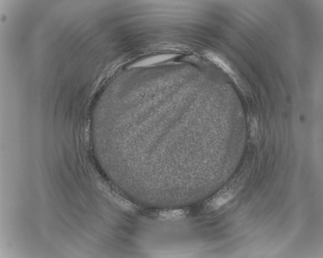 X0000069830357200606091451