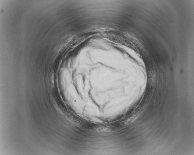 X0000069830358200606091451