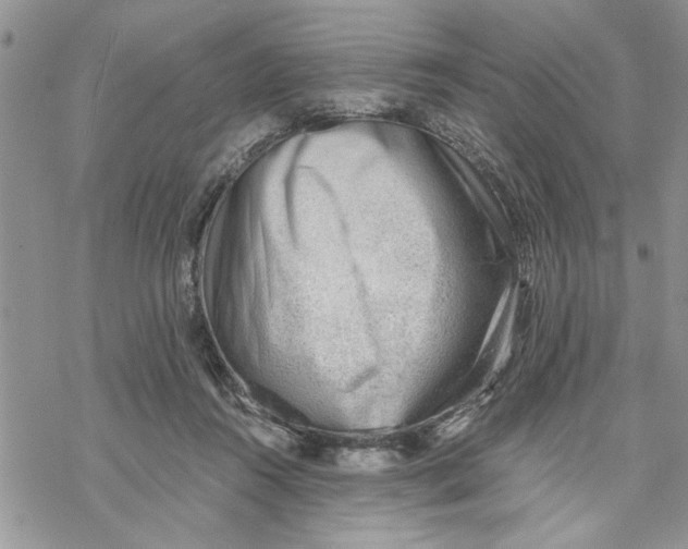 X0000069830360200606091451