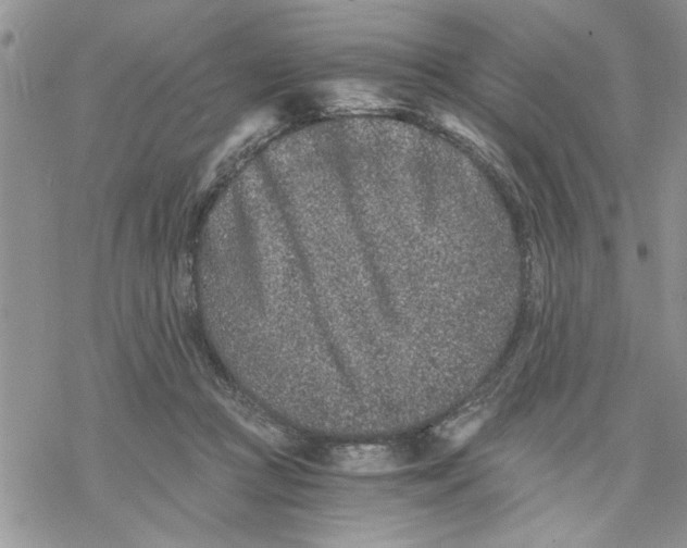 X0000069830361200606091451