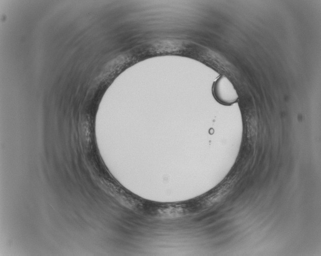 X0000069830362200606091451