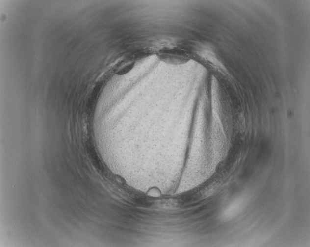 X0000069830363200606091451