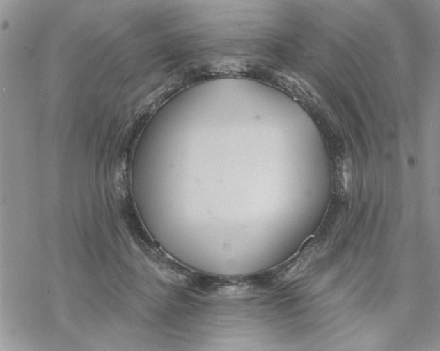 X0000069830364200606091451