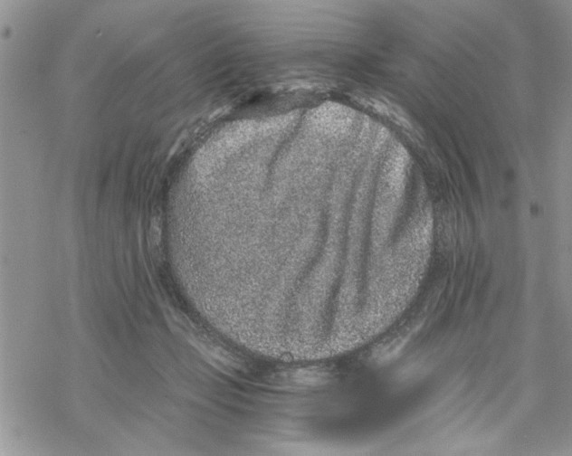 X0000069830365200606091451