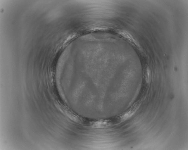 X0000069830366200606091451