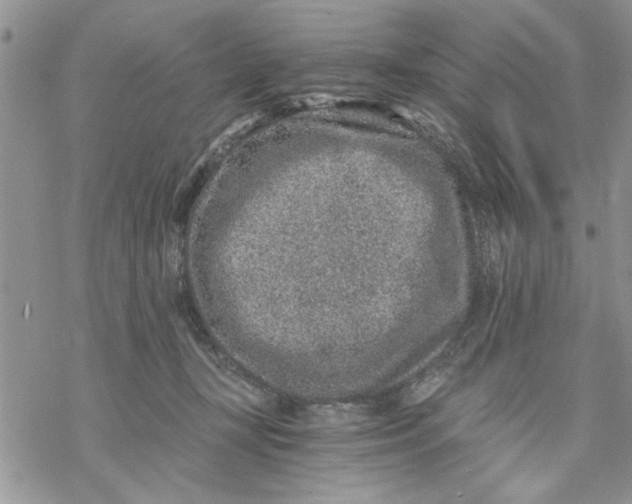 X0000069830367200606091452