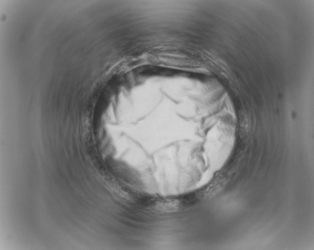 X0000069830369200606091452