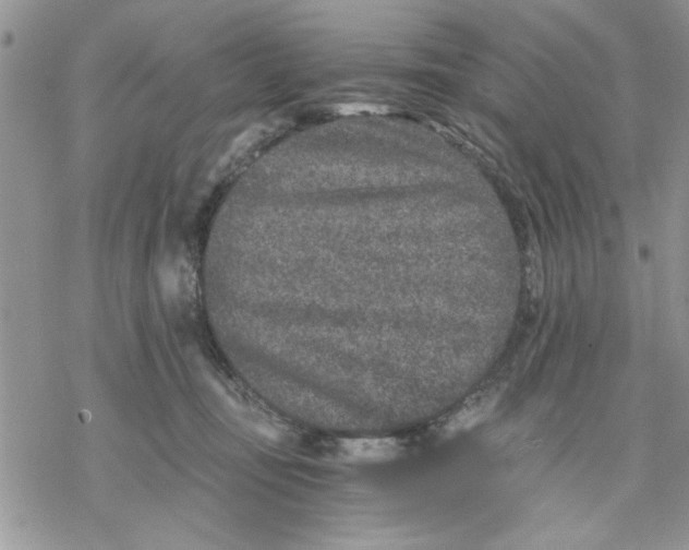 X0000069830371200606091452