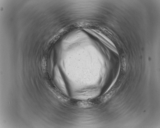 X0000069830372200606091452