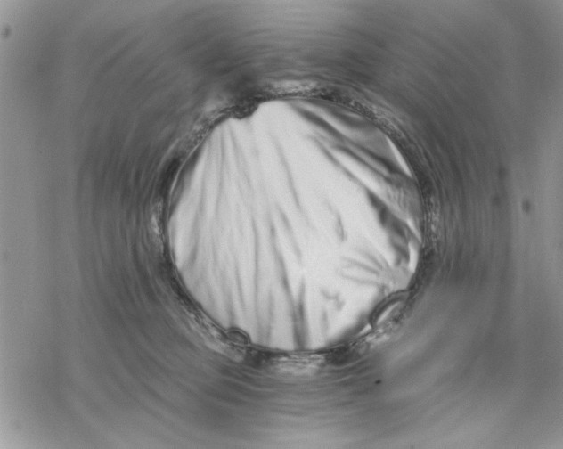 X0000069830373200606091452