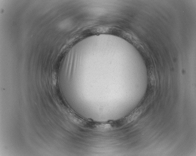 X0000069830374200606091452