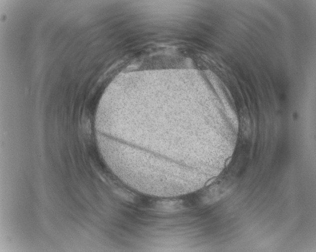 X0000069830375200606091452