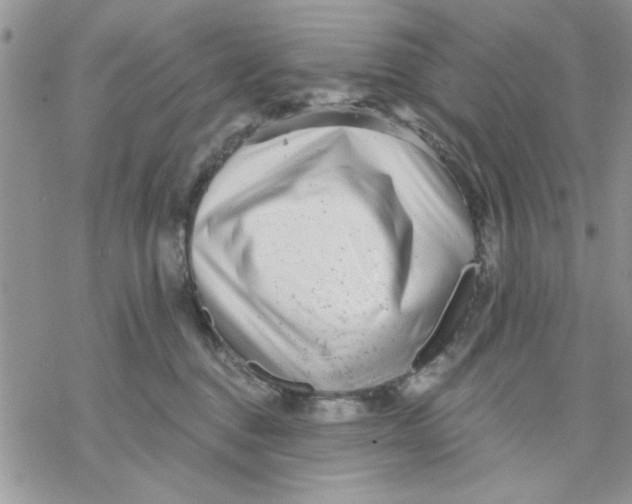 X0000069830376200606091452