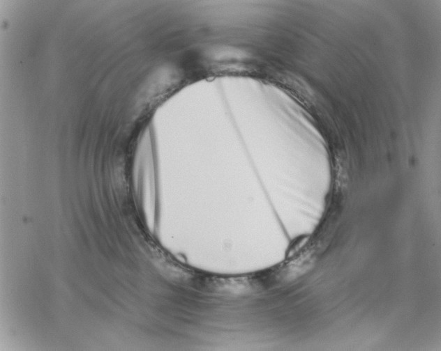 X0000069830377200606091452