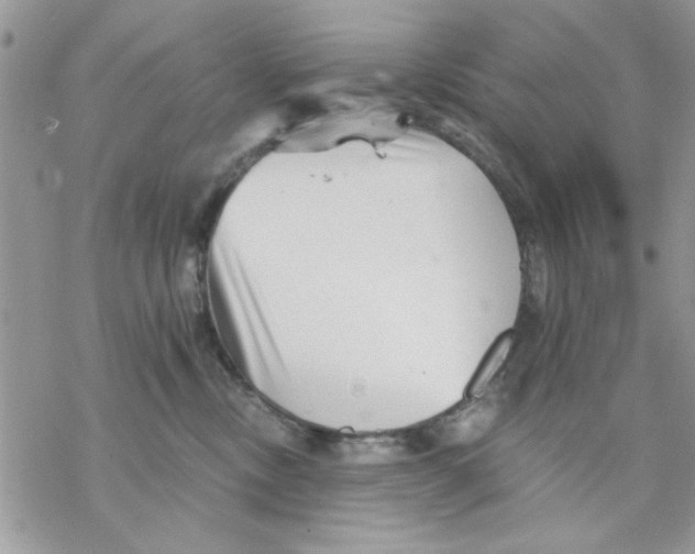 X0000069830378200606091452