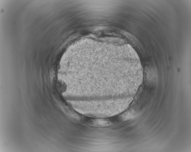 X0000069830380200606091452